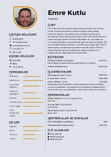 cv indir